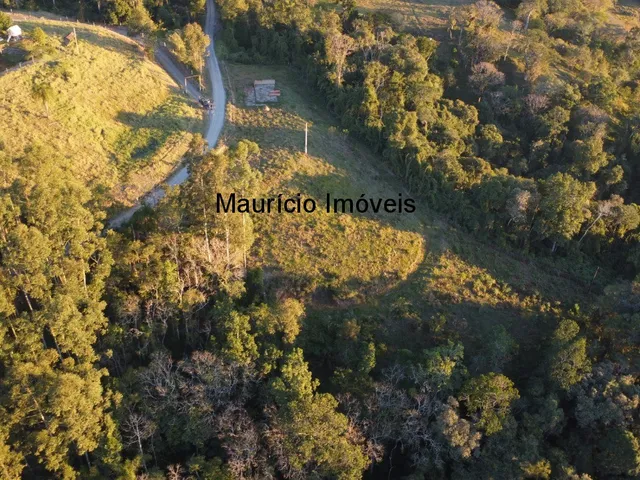 Imagem 16: Terreno Rural com Área de 17.710,00m², na Localidade Ribeirão da Vargem I, Taió, S.C