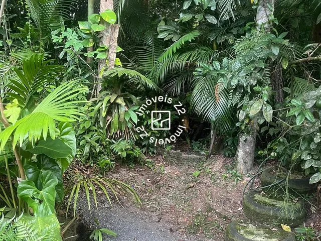 Imagem 6: CASA DE ALVENARIA A VENDA NO BAIRRO VILA NOVA