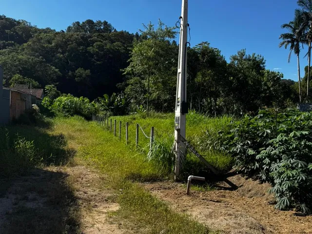 Imagem 5: TERRENO GUABIRUBA