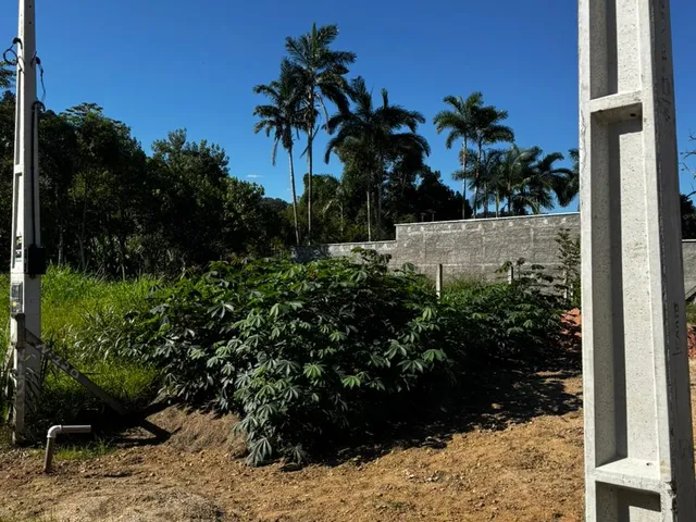 Imagem 4: TERRENO GUABIRUBA