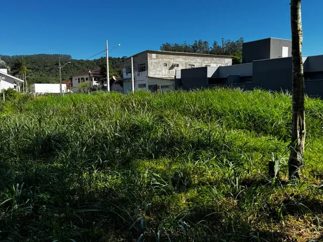 Imagem 7: TERRENO GUABIRUBA