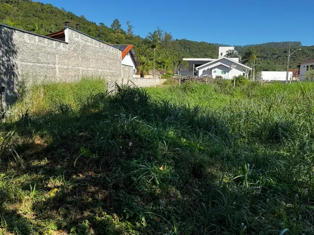 Imagem 8: TERRENO GUABIRUBA