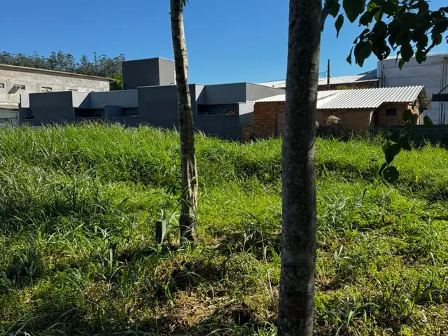 Imagem 6: TERRENO GUABIRUBA