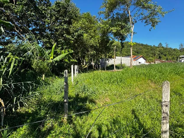 Imagem 10: TERRENO GUABIRUBA