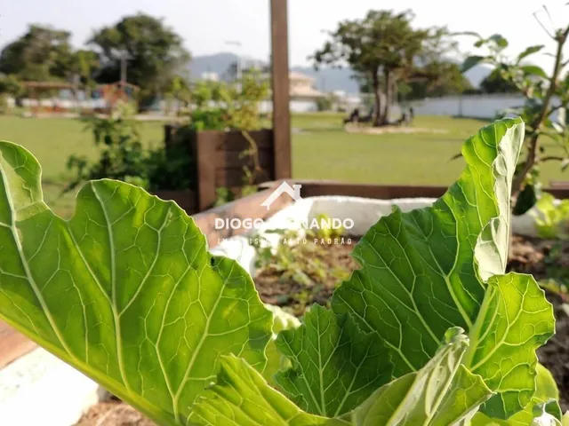 Imagem 8: Terreno em Condomínio Fechado no Campeche