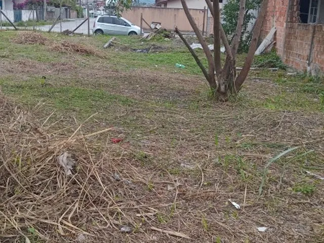 Imagem 7: TERRENO - MATINHOS