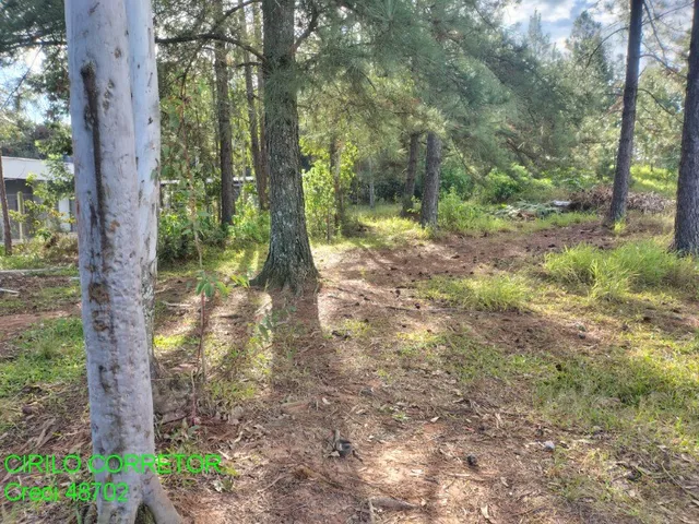 Imagem 6: TERRENO RESIDENCIAL em MONTENEGRO - RS, Estação