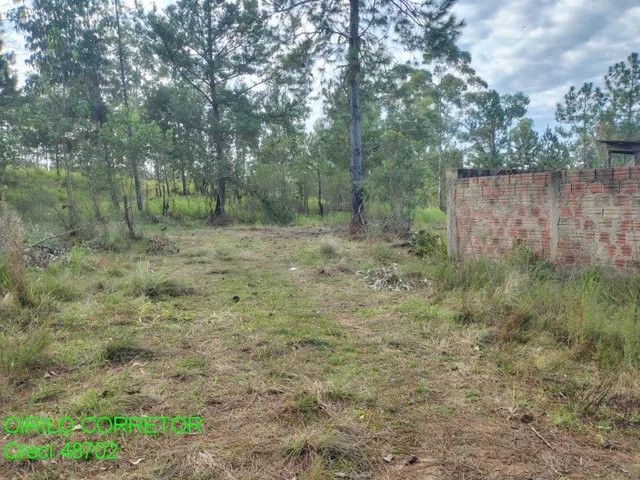 Imagem 2: TERRENO RESIDENCIAL em MONTENEGRO - RS, Estação