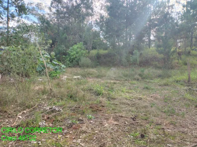 Imagem 3: TERRENO RESIDENCIAL em MONTENEGRO - RS, Estação