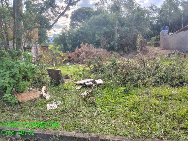 Imagem 2: TERRENO RESIDENCIAL em MONTENEGRO - RS, Estação