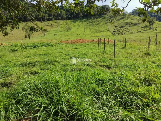 Imagem 12: Terreno de 13.000 m² à Venda em Rio Grande, Guarapari/ES com Água no Terreno e Fácil