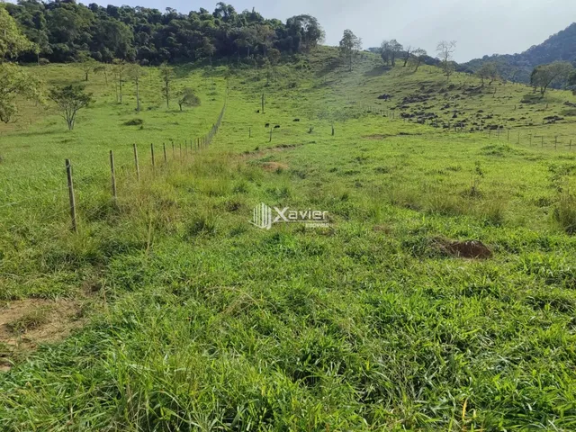 Imagem 3: Terreno de 13.000 m² à Venda em Rio Grande, Guarapari/ES com Água no Terreno e Fácil