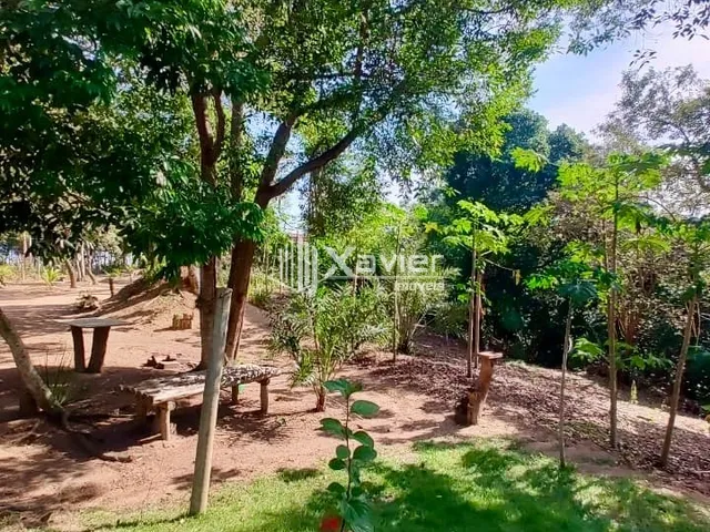 Imagem 9: Chácara à Venda com 13.000 m² em Andana, Guarapari/ES - Área Gourmet, Poço Artesiano