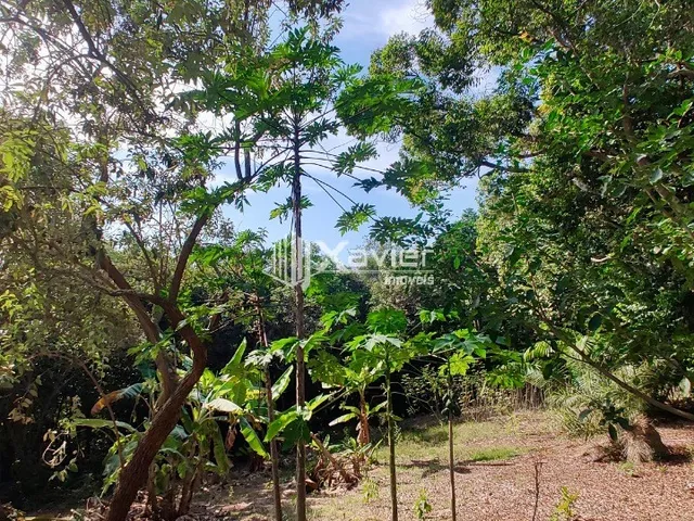 Imagem 3: Chácara à Venda com 13.000 m² em Andana, Guarapari/ES - Área Gourmet, Poço Artesiano