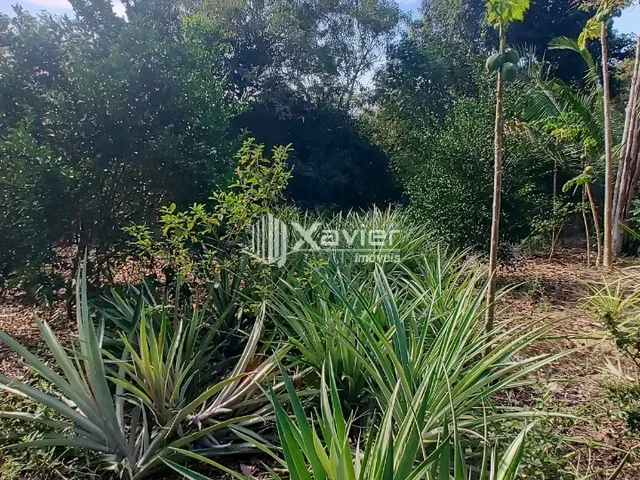 Imagem 14: Chácara à Venda com 13.000 m² em Andana, Guarapari/ES - Área Gourmet, Poço Artesiano