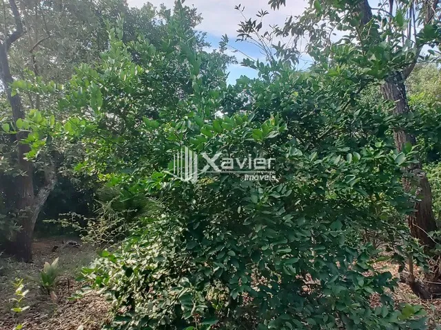 Imagem 12: Chácara à Venda com 13.000 m² em Andana, Guarapari/ES - Área Gourmet, Poço Artesiano