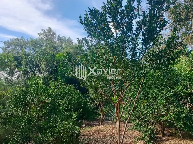 Imagem 10: Chácara à Venda com 13.000 m² em Andana, Guarapari/ES - Área Gourmet, Poço Artesiano
