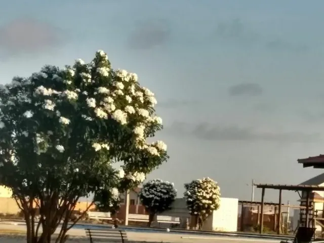 Imagem 6: Terreno à venda no bairro João XXIII - Parnaíba/PI