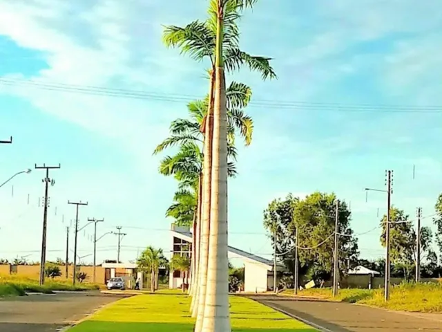 Imagem 9: Terreno à venda no bairro João XXIII - Parnaíba/PI