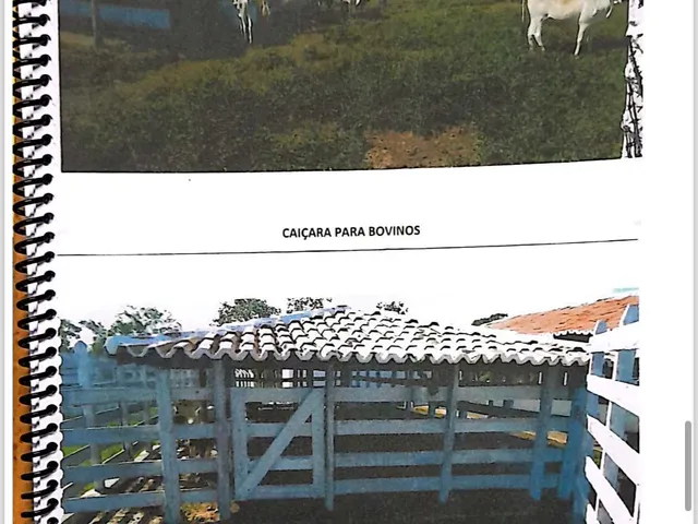 Imagem 9: Fazenda em Centro, Alto Longá/PI
