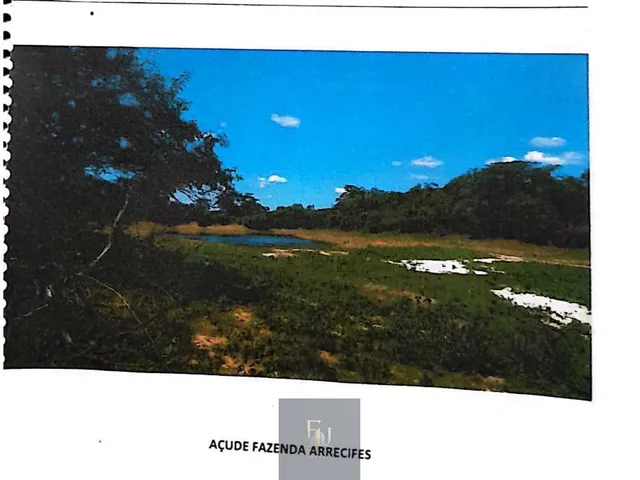 Imagem 8: Fazenda em Centro, Alto Longá/PI