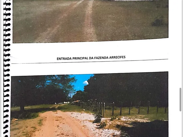 Imagem 3: Fazenda em Centro, Alto Longá/PI