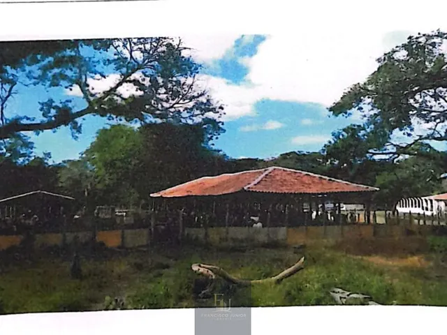 Imagem 5: Fazenda em Centro, Alto Longá/PI