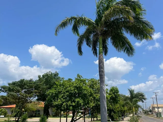 Imagem 6: Parnaíba residence