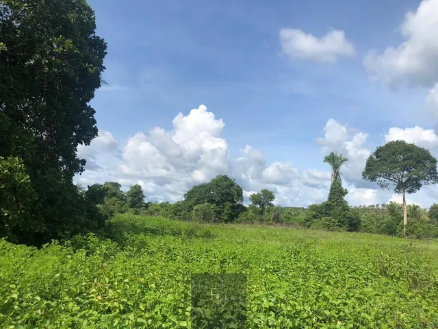 Imagem: O terreno está localizado em Dinir Silva, Caxias à venda