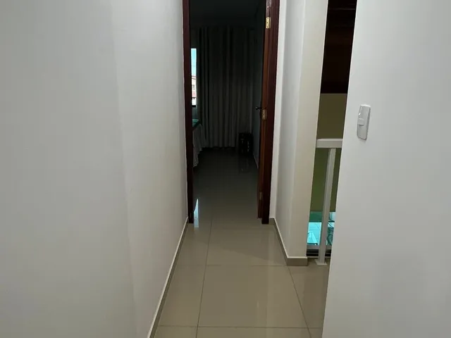 Imagem 11: Casa no coqueiro