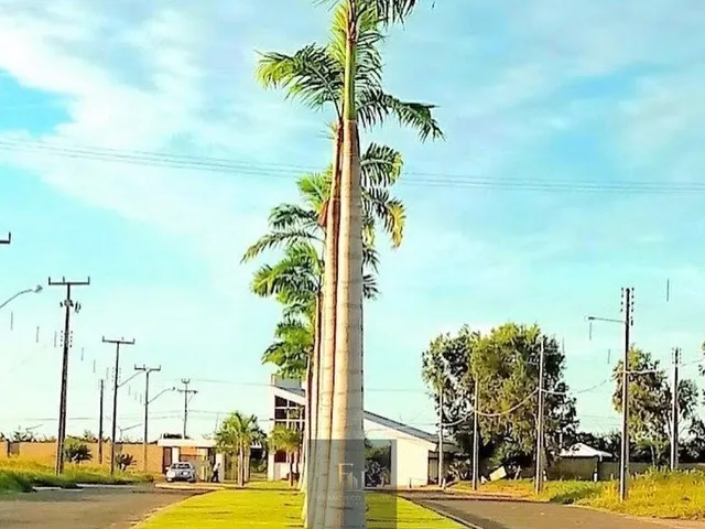 Imagem: Parnaíba Residence
