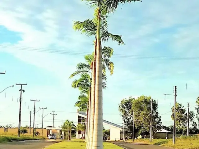 Imagem 5: Parnaíba Residence