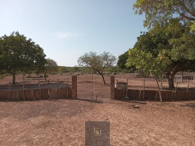 Imagem 12: Fazenda em Centro, José de Freitas/PI