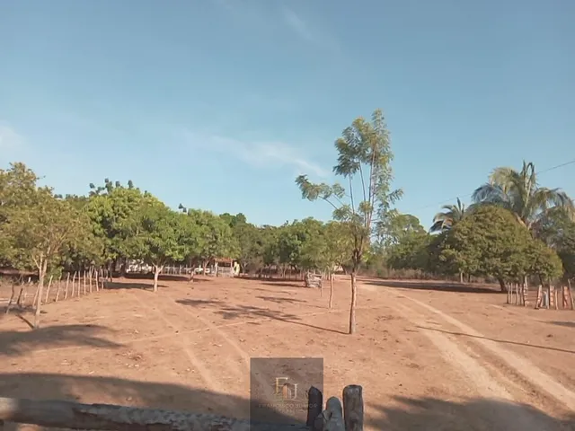 Imagem 9: Fazenda em Centro, José de Freitas/PI
