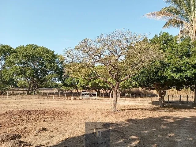 Imagem 7: Fazenda em Centro, José de Freitas/PI