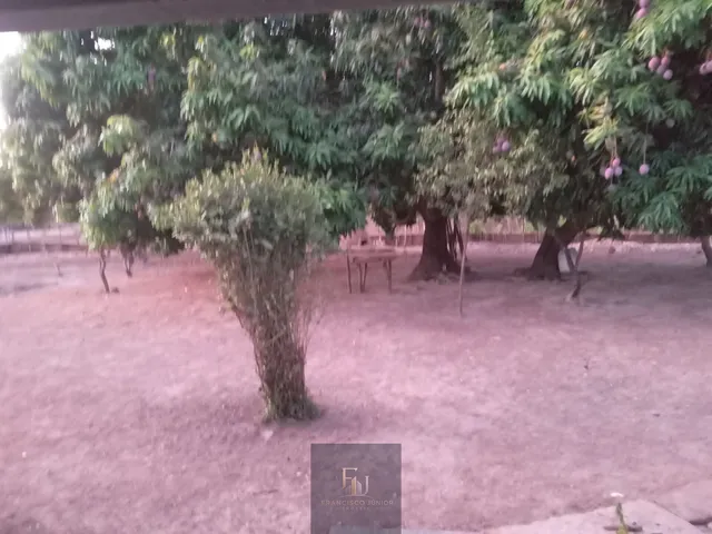 Imagem 2: Fazenda em Centro, José de Freitas/PI