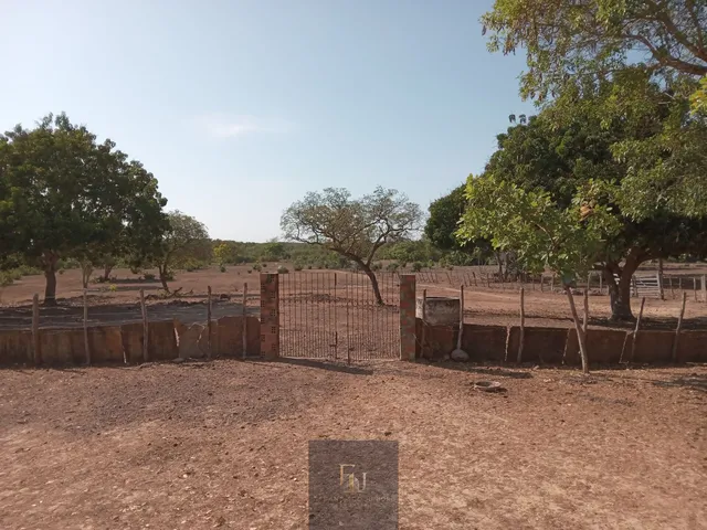 Imagem 14: Fazenda em Centro, José de Freitas/PI