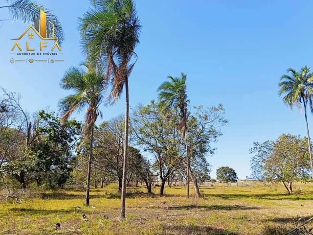 Imagem 16: Lançamento exclusivo em Aragoiânia! Chácaras a partir de 1.000 m² com pagamento