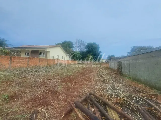 Imagem 6: Terreno à venda, no Bairro Uvaranas em PONTA GROSSA - PR