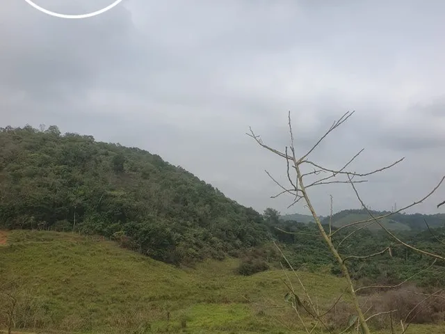 Imagem 7: TERRENO INDUSTRIAL em DUQUE DE CAXIAS - RJ, MANTIQUIRA