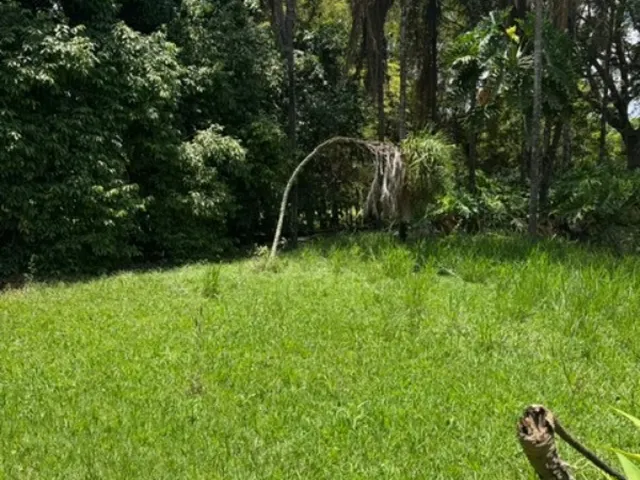Imagem 7: Terreno RESIDENCIAL em BRASÍLIA - DF, PARK WAY