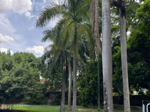 Imagem 8: Terreno RESIDENCIAL em BRASÍLIA - DF, PARK WAY