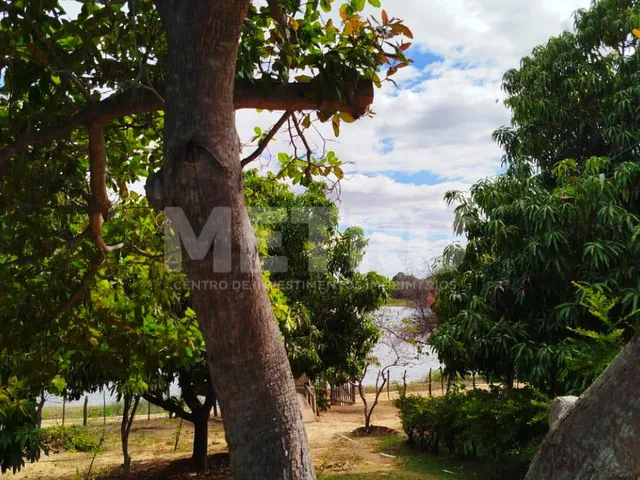 Imagem 6: Chácara mobiliada à venda na Caatinguinha, 9 comados, piscina, Petrolina-PE