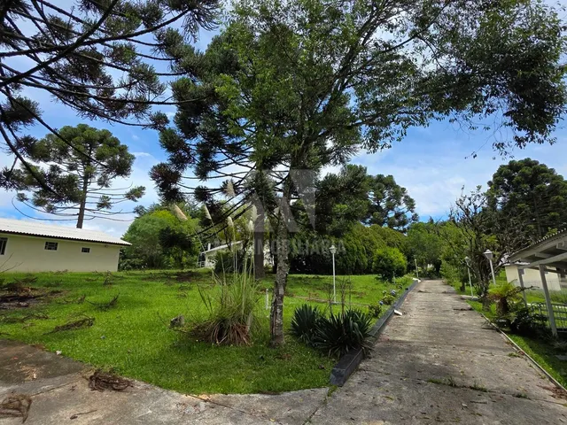 Imagem: Chácara em Contenda Residencial ou Sede