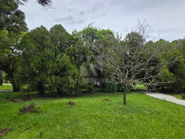 Imagem 3: Chácara em Contenda Residencial ou Sede de alguma associação recreativa