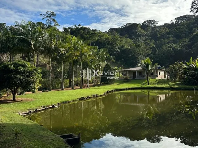 Imagem 11: Sítio à Venda com 32.000 m² em Panelas, Domingos Martins/ES - Casa 3 Quartos, Pomar
