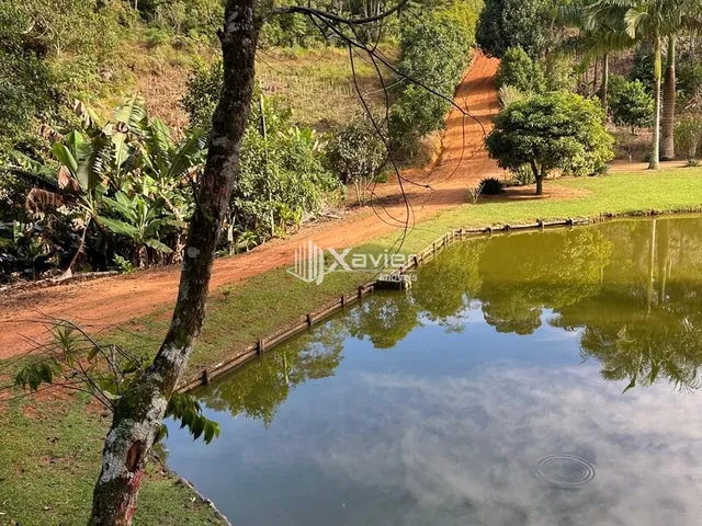 Imagem 4: Sítio à Venda com 32.000 m² em Panelas, Domingos Martins/ES - Casa 3 Quartos, Pomar