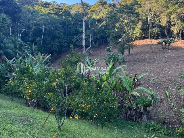 Imagem 7: Sítio à Venda com 32.000 m² em Panelas, Domingos Martins/ES - Casa 3 Quartos, Pomar