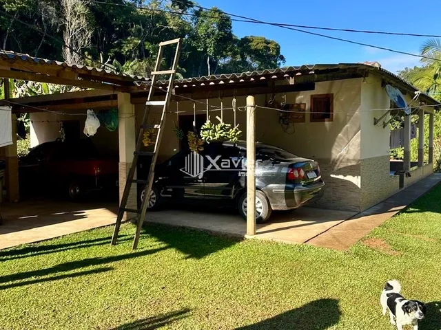 Imagem 15: Sítio à Venda com 32.000 m² em Panelas, Domingos Martins/ES - Casa 3 Quartos, Pomar