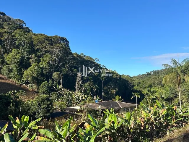 Imagem 12: Sítio à Venda com 32.000 m² em Panelas, Domingos Martins/ES - Casa 3 Quartos, Pomar